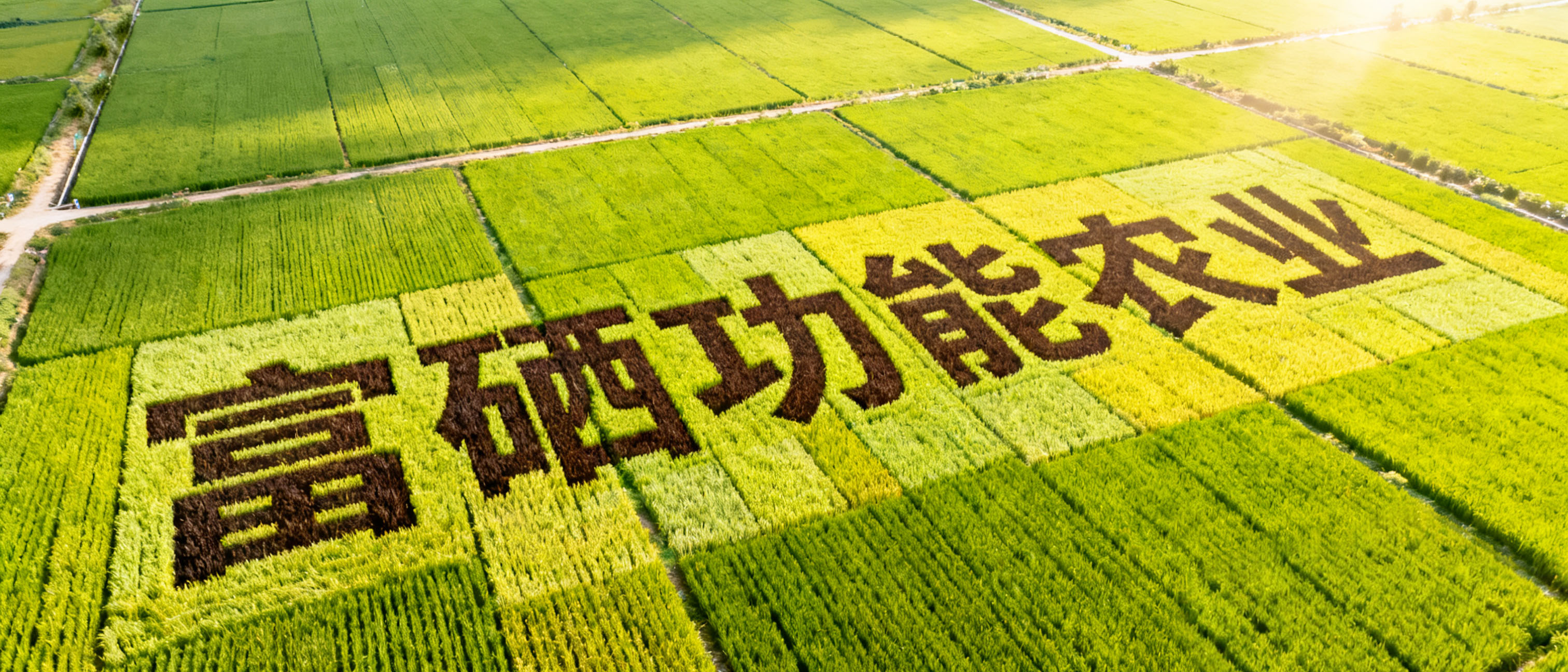 待刪2